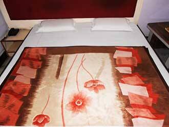 Hotel Surya Palace, Banswara 3